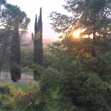 Magda Villa