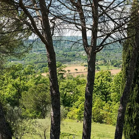 Villa Magda
